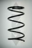 SPIDAN 56336 Coil Spring